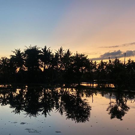 Villa Mon Reve Убуд Экстерьер фото